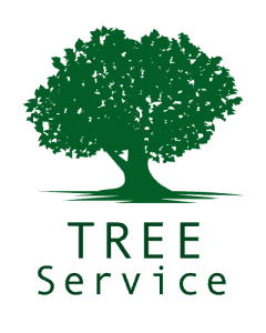 Tree Trimming Long Island Tree Trimming Long Island